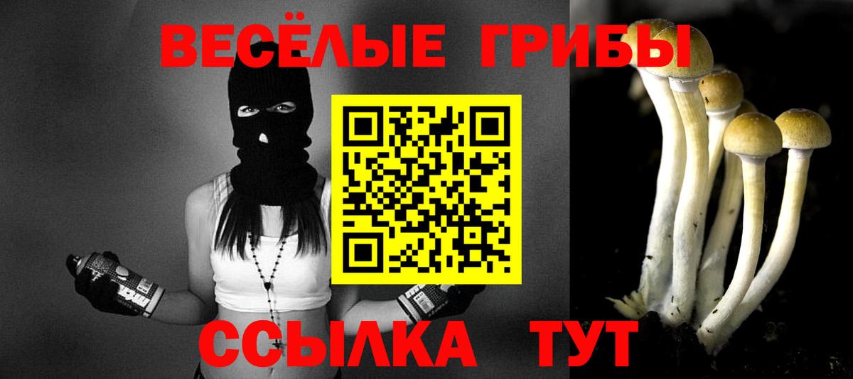 Псилоцибиновые грибы Psilocybe  Вход с VPN  Искитим 