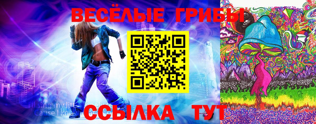 Псилоцибиновые грибы GOLDEN TEACHER Искитим